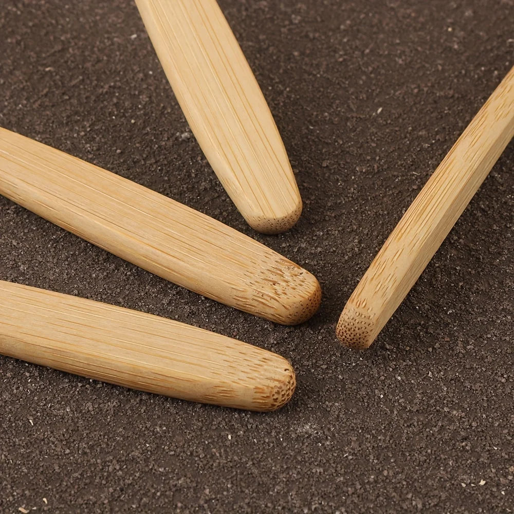Bamboo Toothbrushes (6 Pack) — Soft Bristles, Plastic-Free